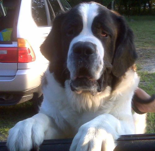 Max