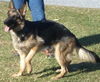 Leala