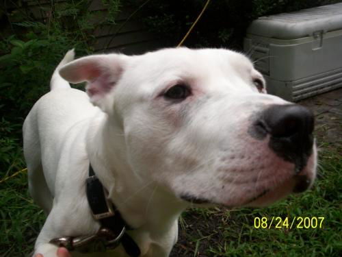 Max