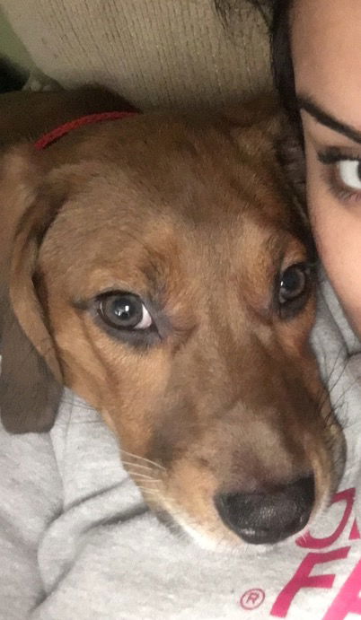 Max