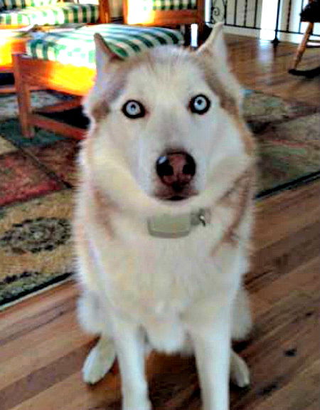 Skye