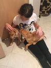 AMY ALISON AND ABBEY PUPPIES