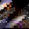 Foxxy