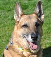 ROXY