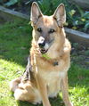 ROXY