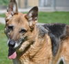 ROXY