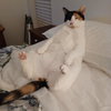 Calypso - Photo 2