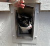 Melvin - Photo 3