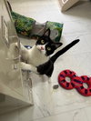 Melvin - Photo 4