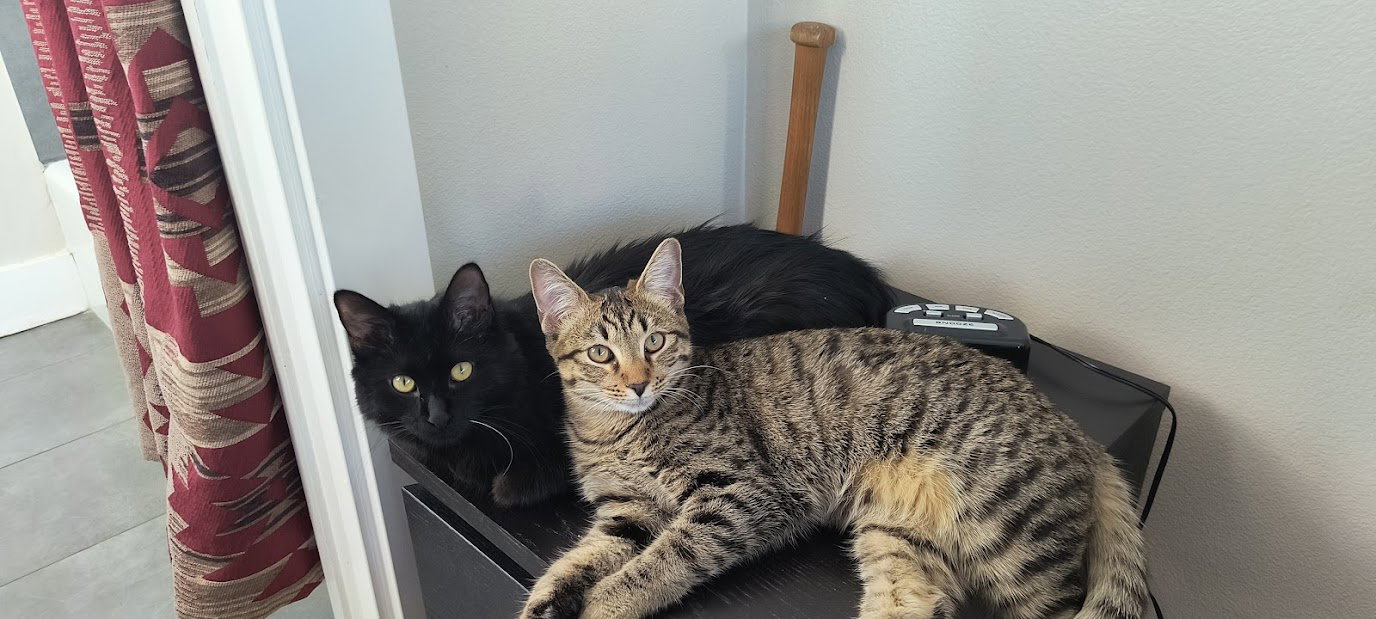 Fiona & Debbie