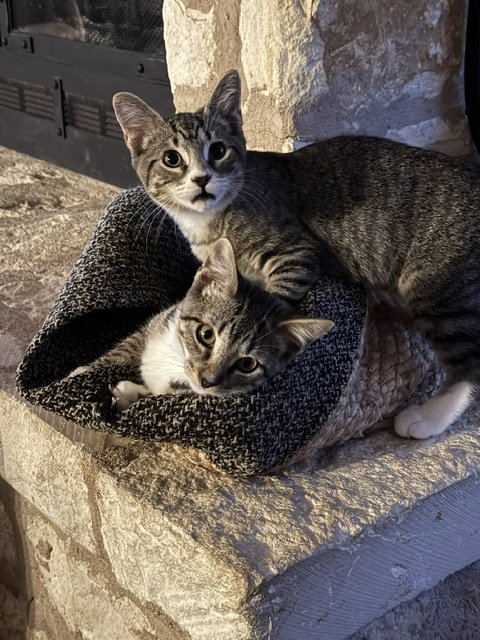 Sally & Hooper