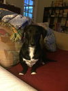 Ms. Daisy