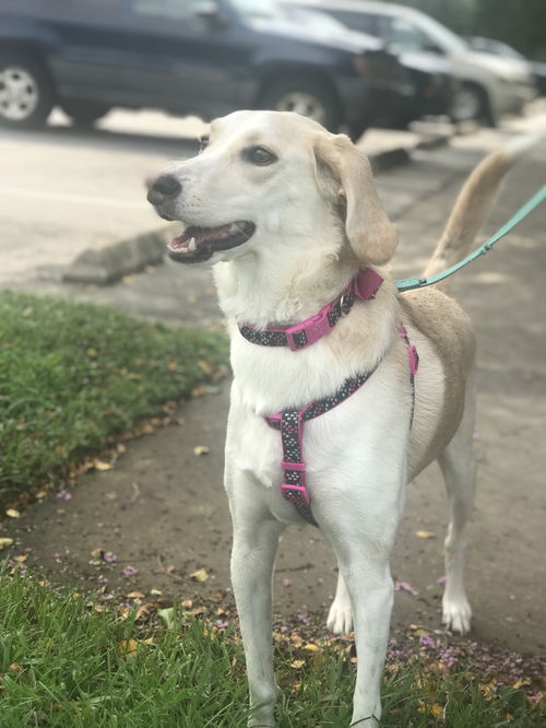 Ellie Mae