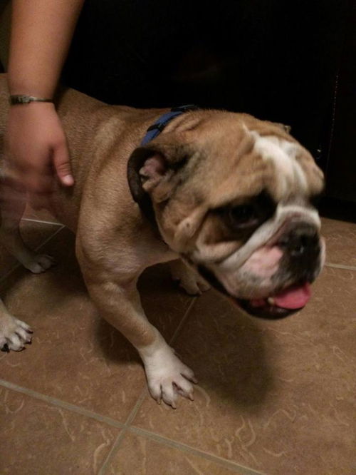 Sherman