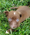 Rudy