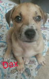 Dax