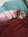 Lady Edith