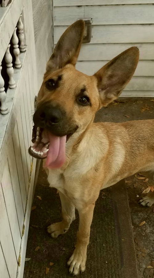 Keiko