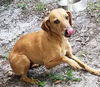 Sadie