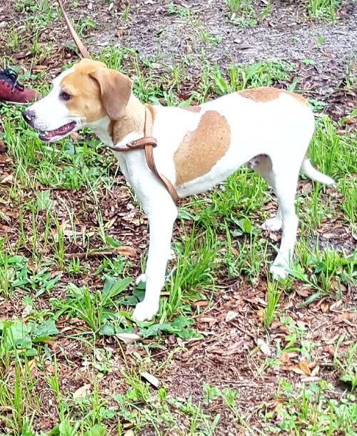 Benny