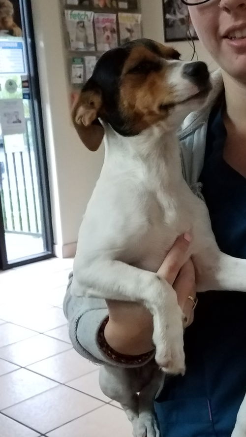 Remus