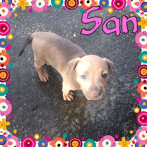 San