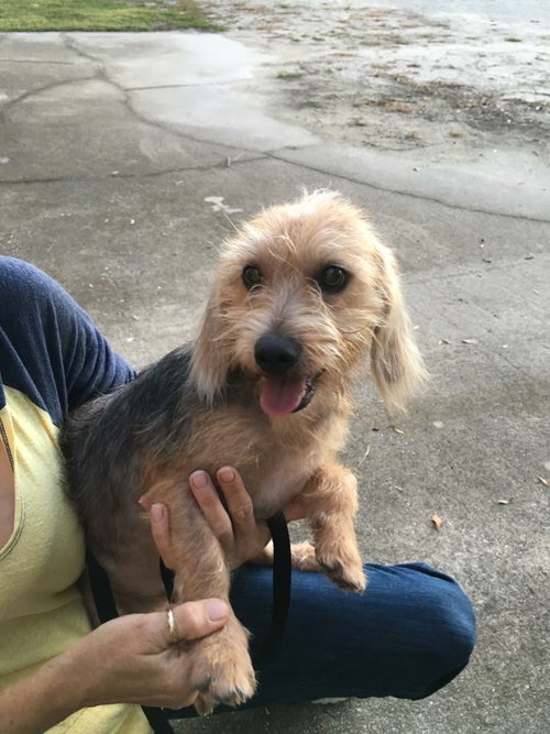 Benji