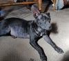 Mazzy