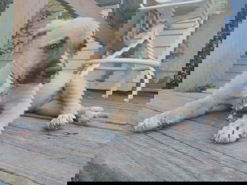 Sandy