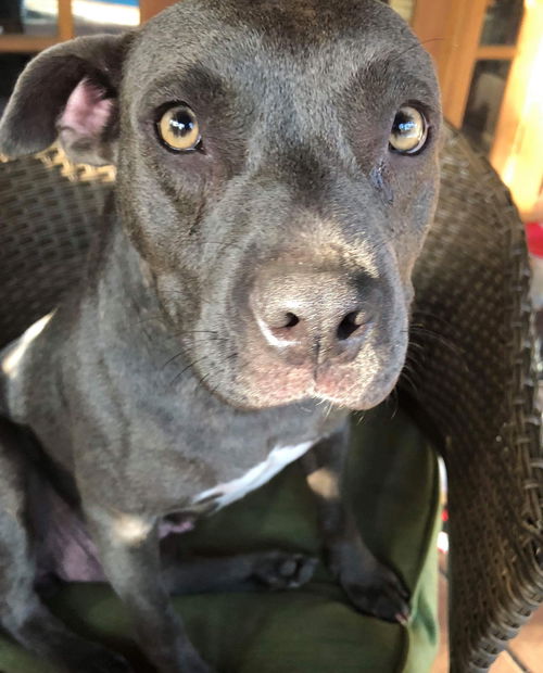 Georgia