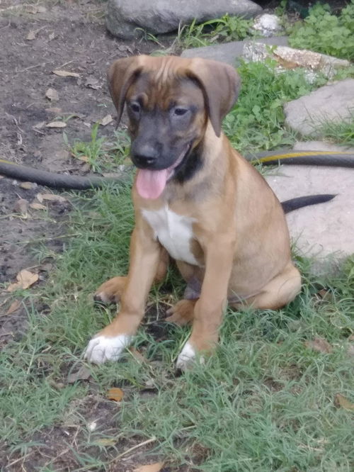 Tucker