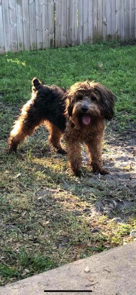 Oliver