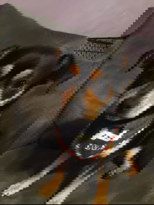 Edgar