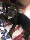 Fergus