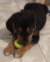 Charlie