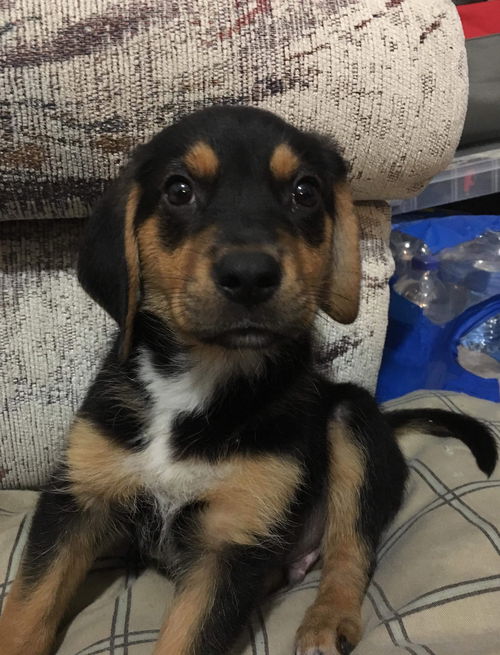 Charlie