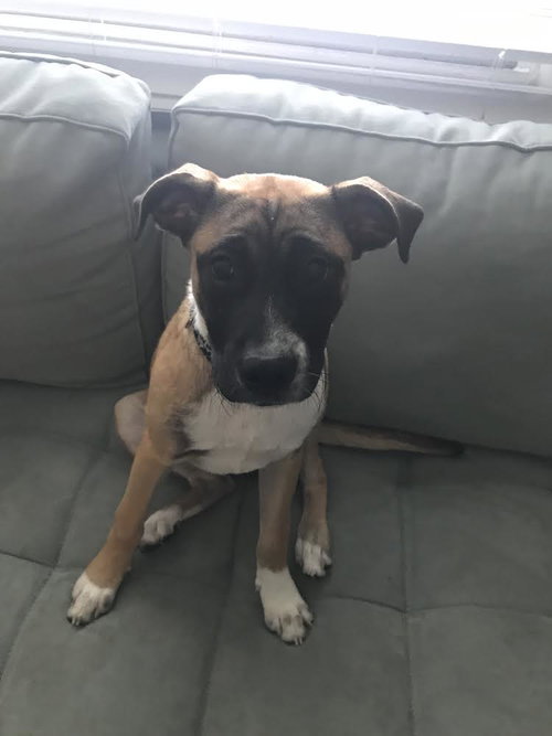 Fiona