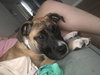 Fiona