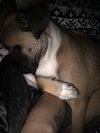 Fiona