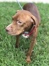 Copper