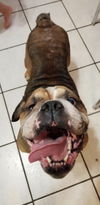 Oscar