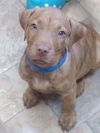 Rusty