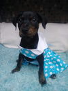 Roxie