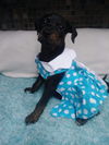 Roxie
