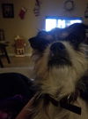 Grover