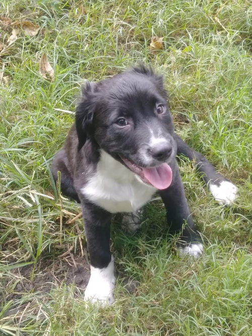Zeke