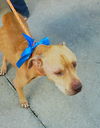 Rusty