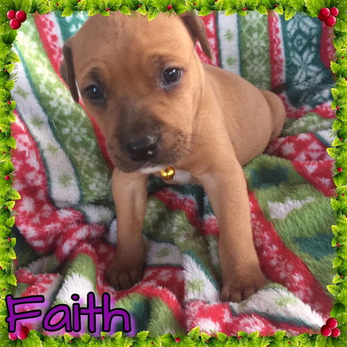 Faith