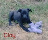 Clay