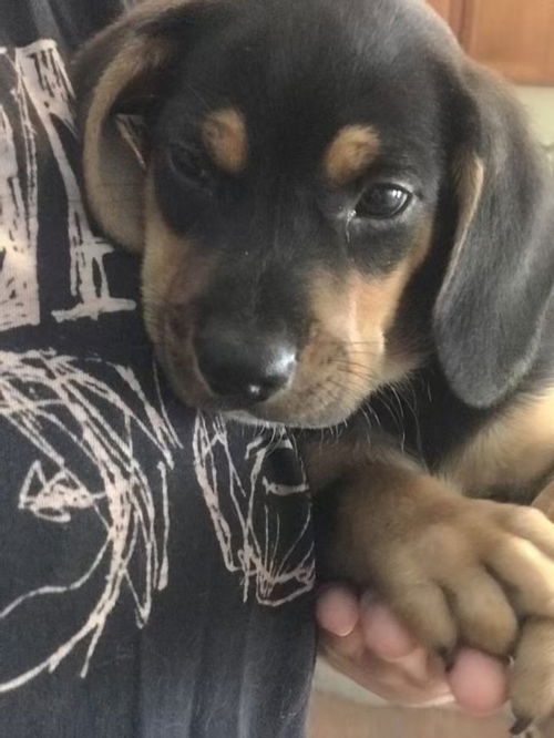 Cooper
